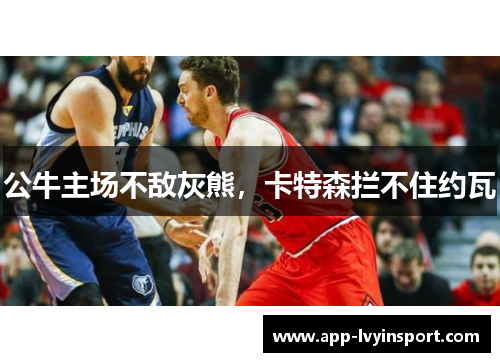 公牛主场不敌灰熊，卡特森拦不住约瓦