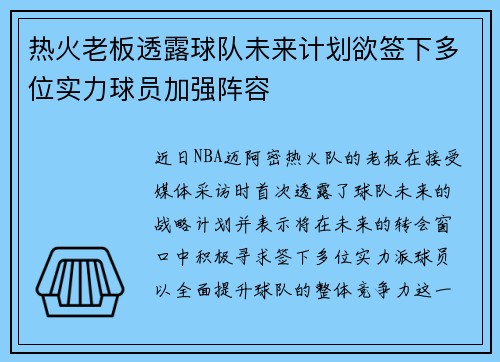 热火老板透露球队未来计划欲签下多位实力球员加强阵容